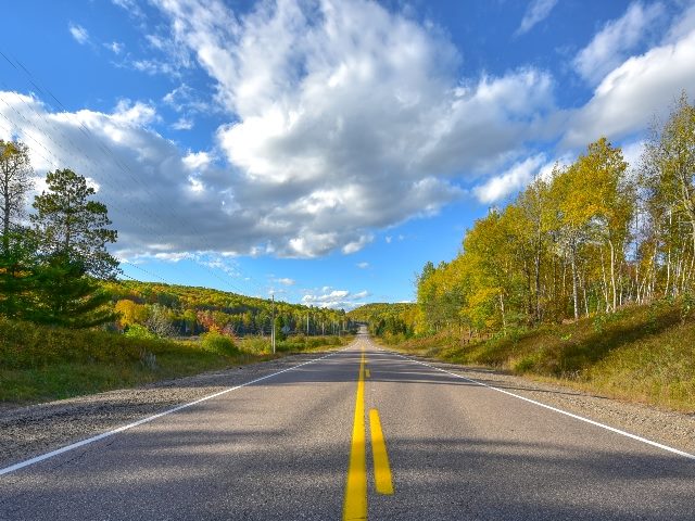 Sunny road to anywhere, on a highway, with no cars. Trees on each side. 