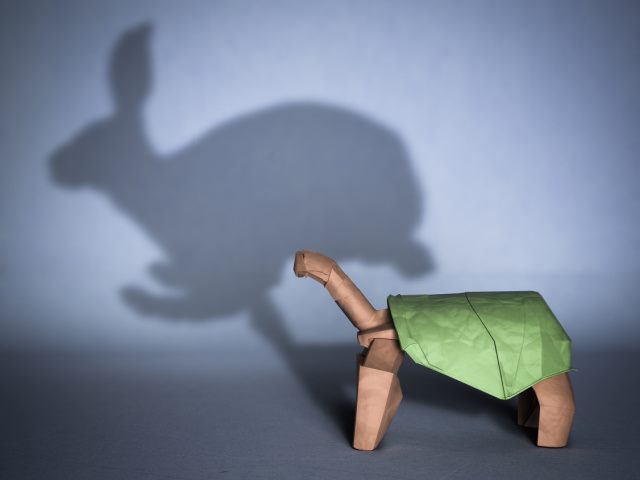 a paper figure of a turtle casting a shadow of a rabbit