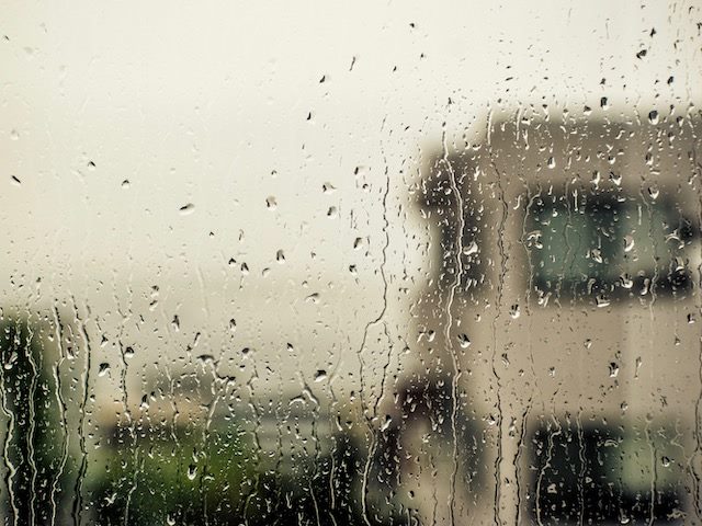 looking through a rainy window