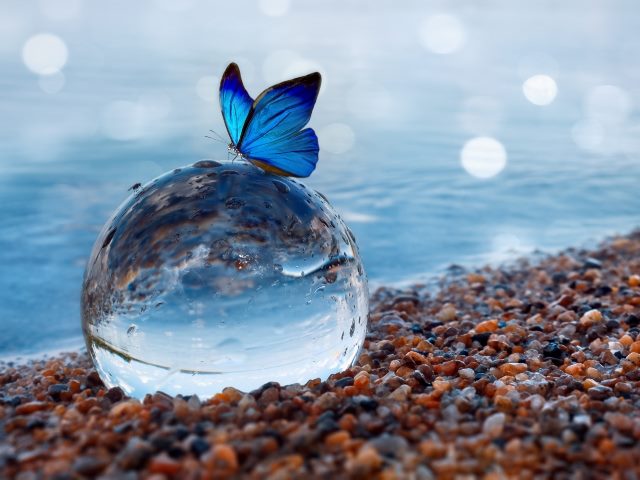 Butterfly on a glass ball on the beach reflecting the lake and sky. 