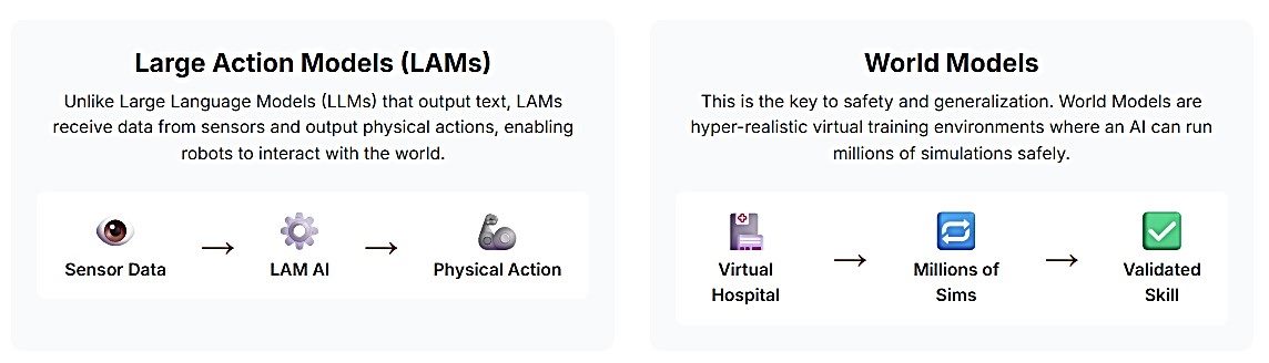 large action models compared to world models