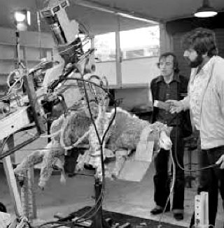 fully automated systems