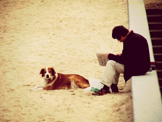 reading the news