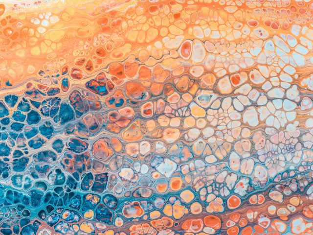 An abstract painting resembling cells.
