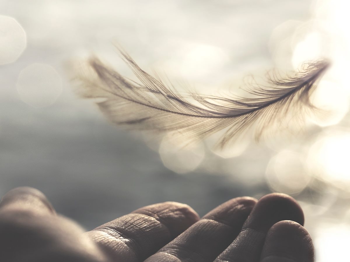 feather floating down to an upturned palm