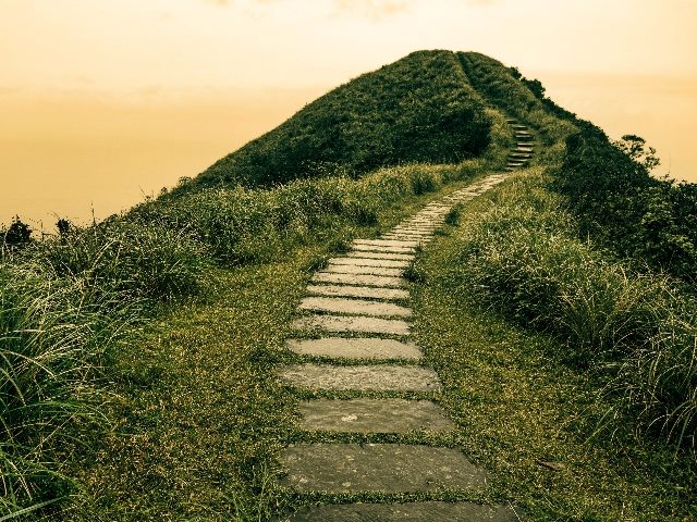 Path on grassy mountain representing the path forward for retail customer experiences.
