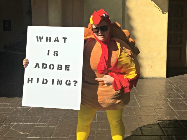 evergage turkey
