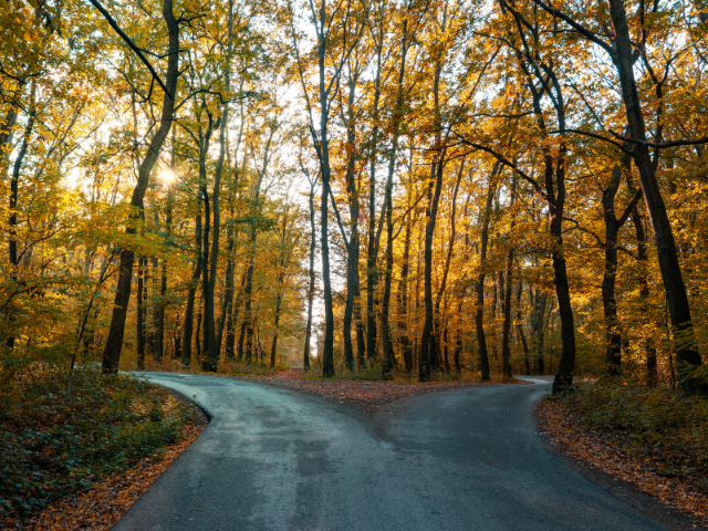 A fork in the road