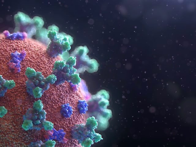 coronavirus rendering