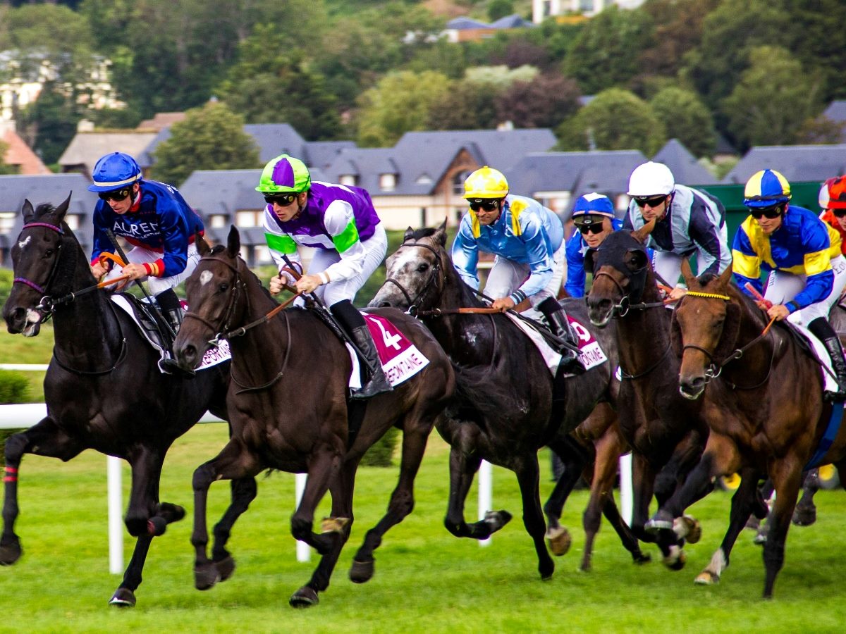 Horses ridden by jockeys race on grass.