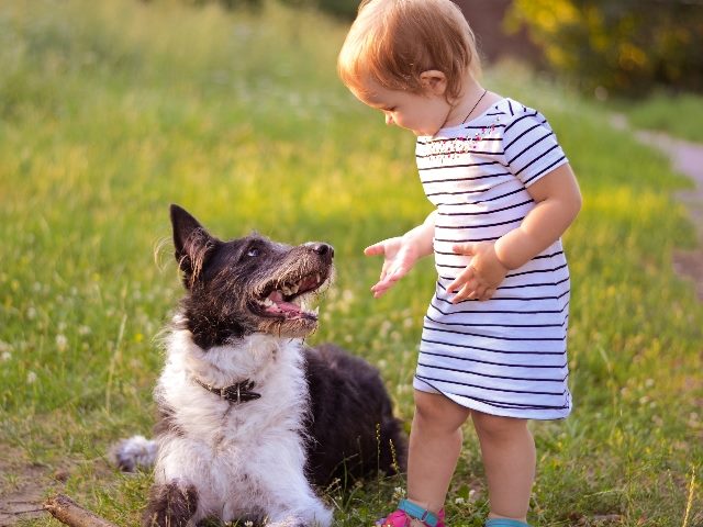 Young child talking to a dog in a patch of grass, representing the time for real talk about AI in digital customer experience management. 