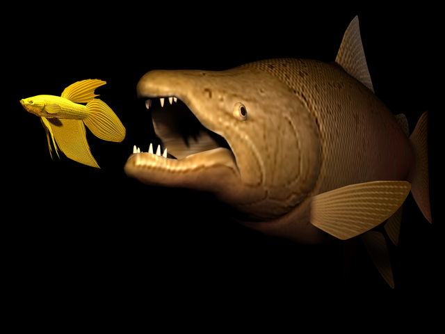 big fish eat small fish, the strong overwhelm the weak, striving for existence, existential battle - acquisition concept