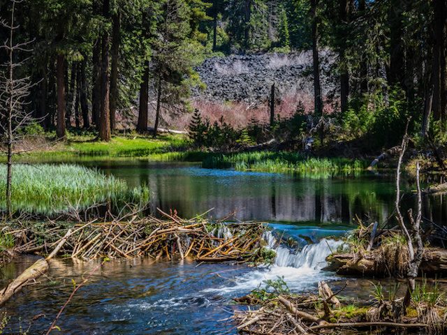 A river dam.