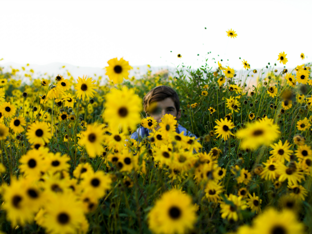 an individual in a field