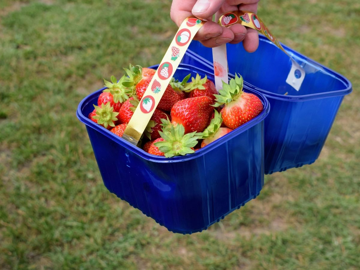 A hand carrying a box of strawberries, next to an empty box.