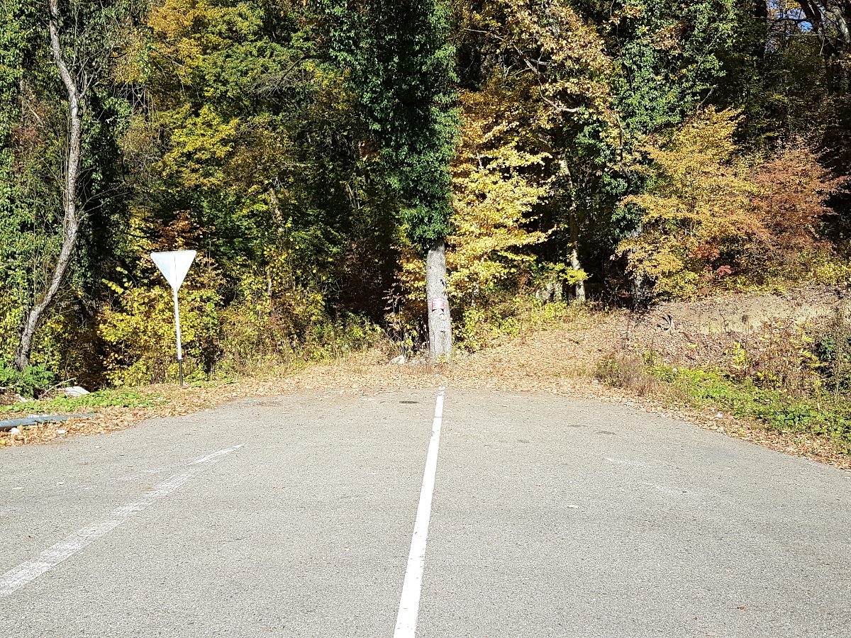 A paved road ends abruptly at a wooded dead end, with a white center line leading into trees with autumn foliage.