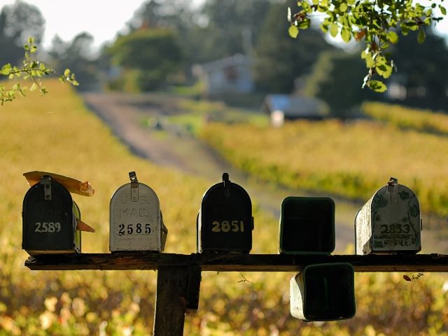row of mailboxes with grassy pasture in the background.