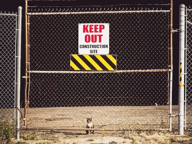 cat sitting behind a cyclone fence which has a sign "Keep Out"