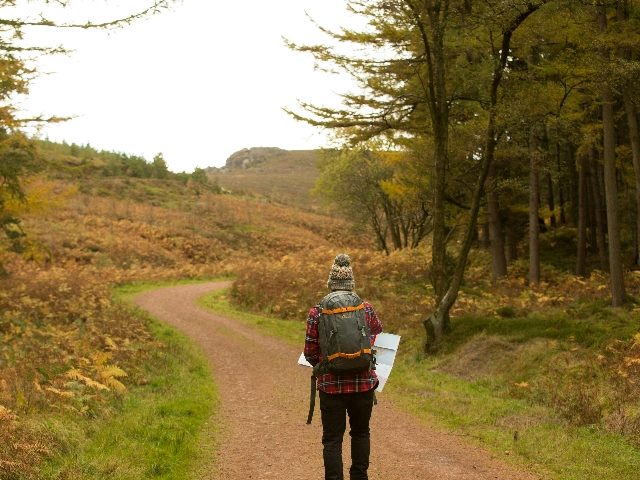 Person holding map walking through a dirt path.