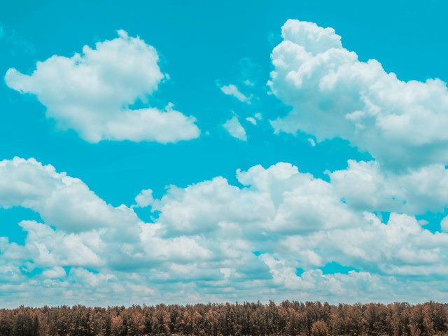 Clouds in a blue sky with trees below.