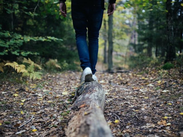 balancing on a log in the forest