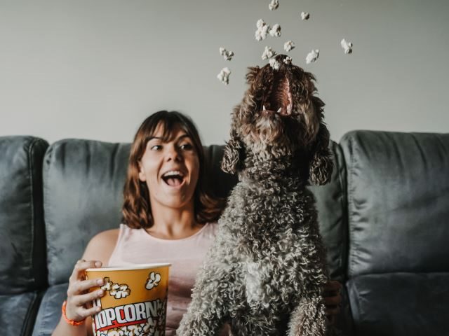 A young girl having a fun afternoon with her dog, sitting on the sofa eating popcorn - emotional connections concept