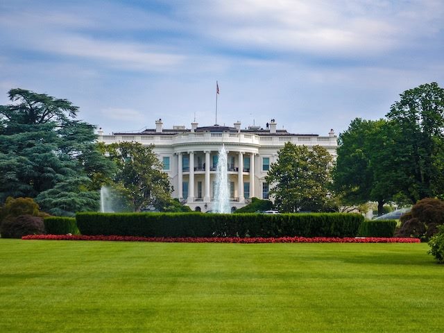 the white house