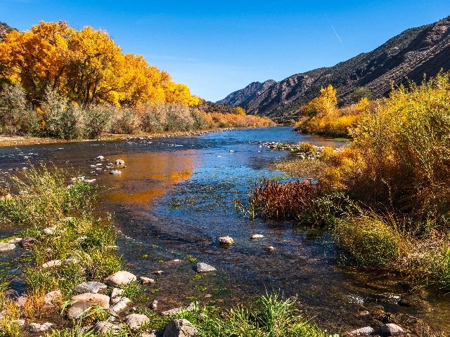 Beautiful autumn colors on Rio Grande river flowing through New Mexico. 