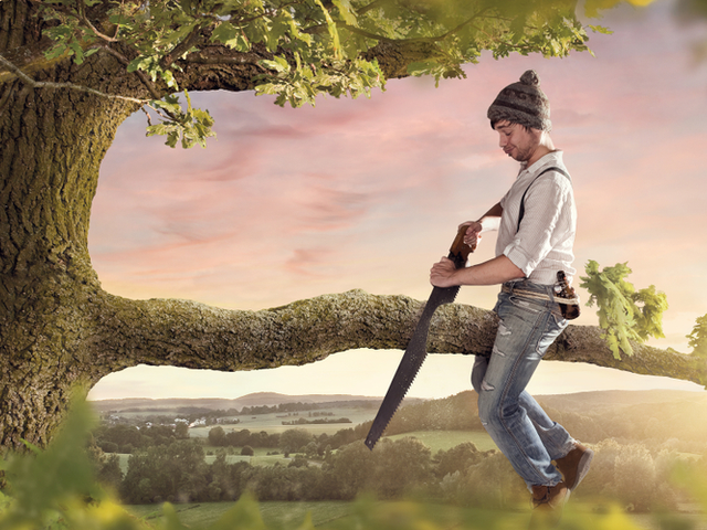 A man in a tree, cutting through the branch he is sitting on