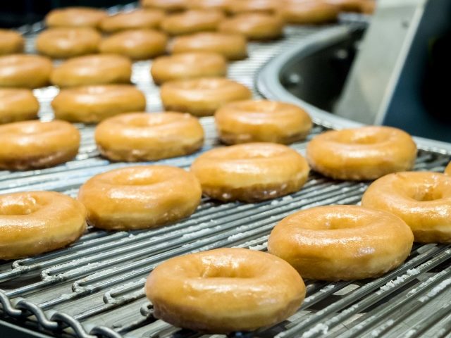 Rows of glazed doughnuts on a  curved factory conveyor belt.