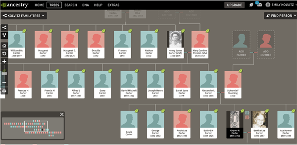 Screenshot of Emily Kolvitz’s