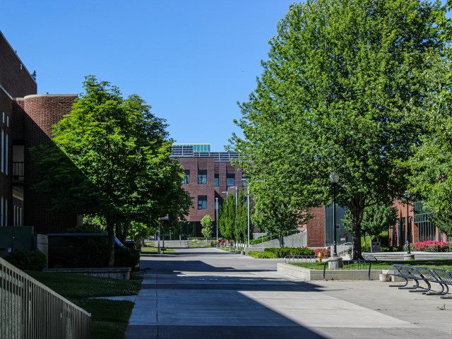 A group of buildings on a university campus.
