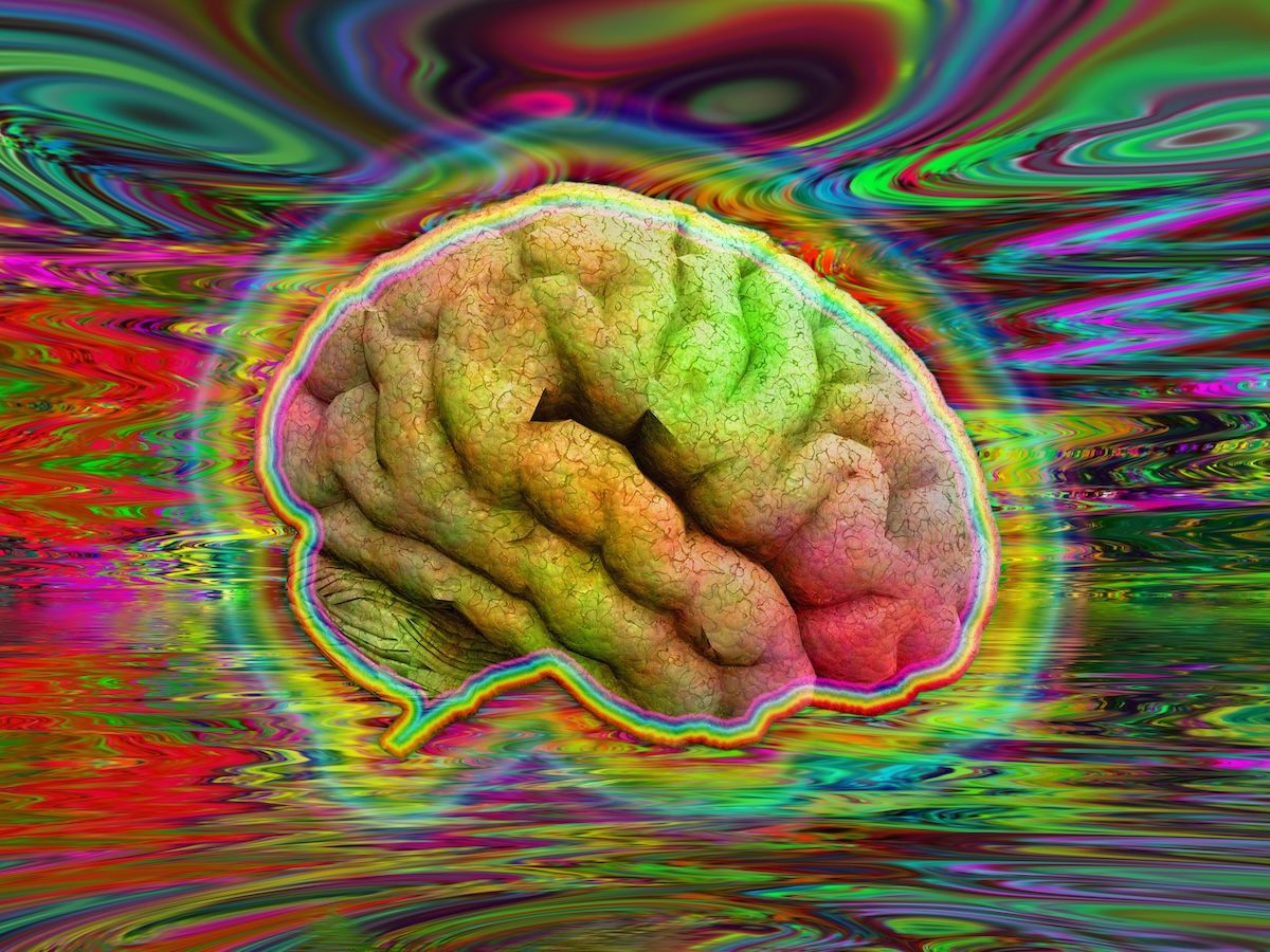 Psychedelic Brain