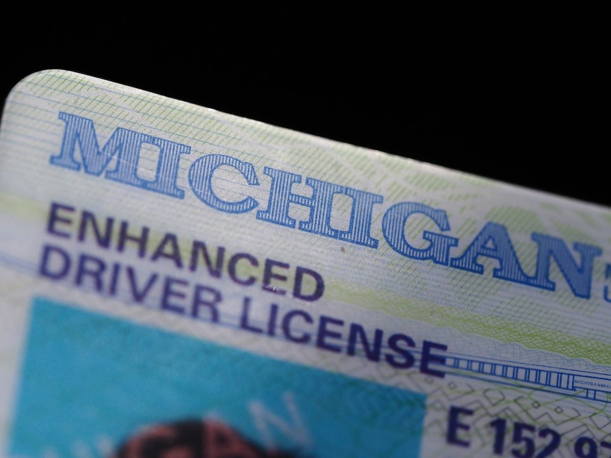 Michigan driver's license