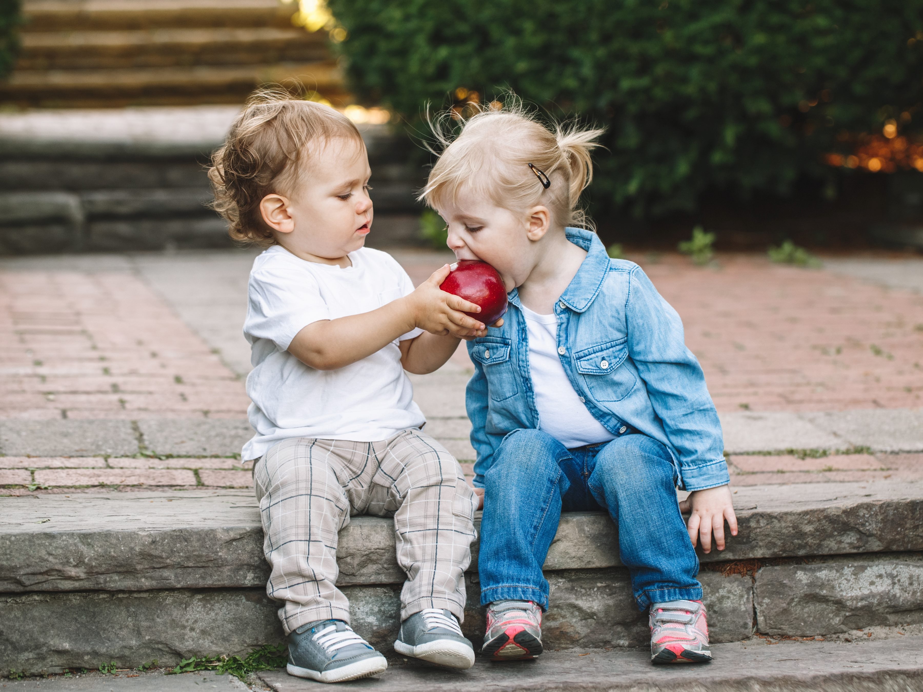 Group portrait of two children toddlers sitting together as the boy shares his apple with the girl.  