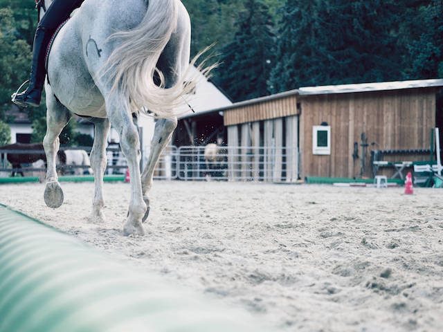 Horseback riding