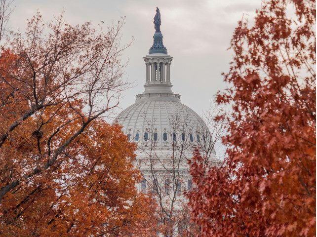 US Capitol dome behind trees.