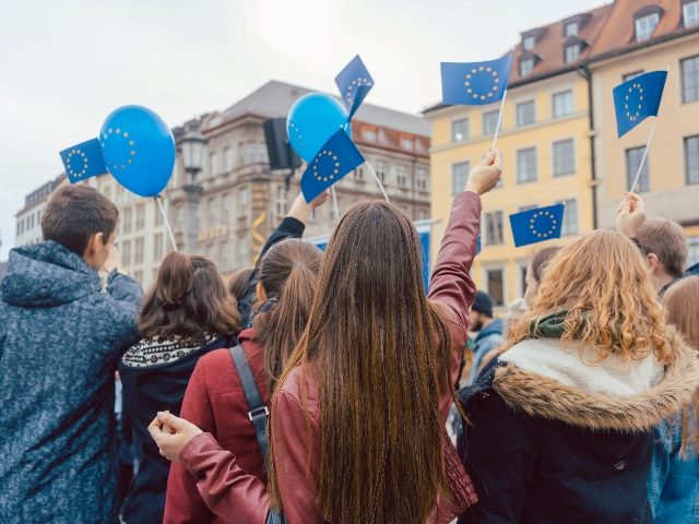 People hold miniature EU flags in a protest.