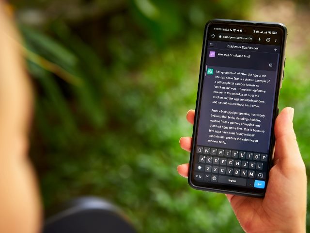Person using OpenAI ChatGPT on their phone. 