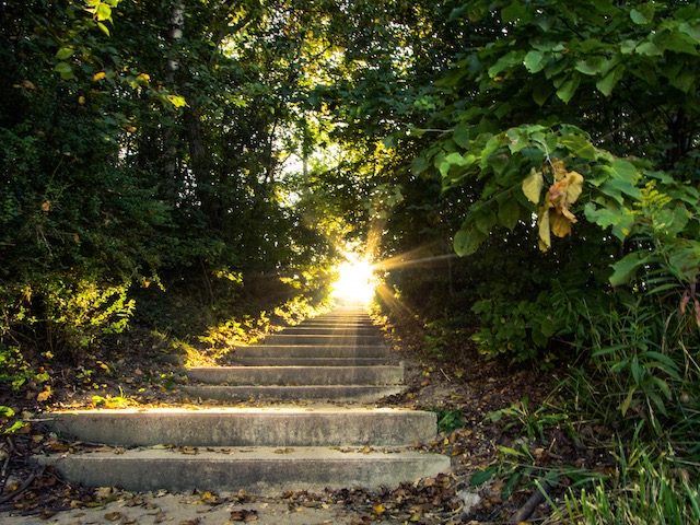 Guiding light