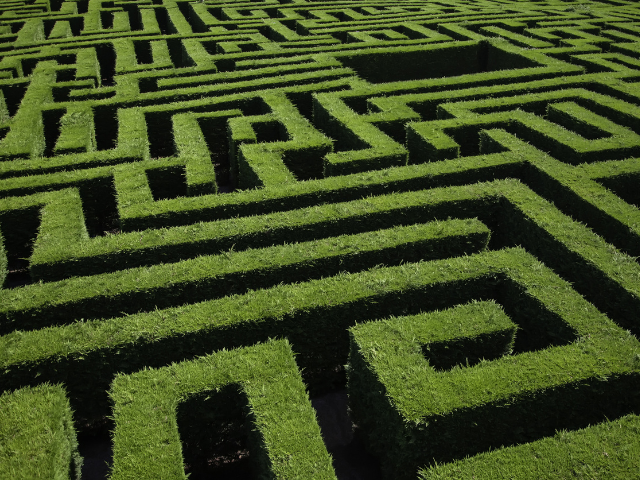 A hedge maze