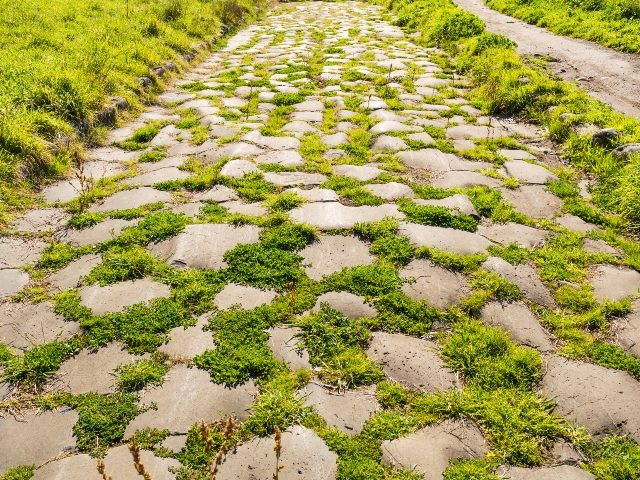 The Appia Antica or the "Appian Way" near Rome, Italy, a stone road with bright green grass or moss growing between stones.