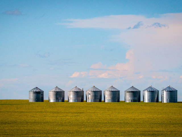 A row of silos in a field