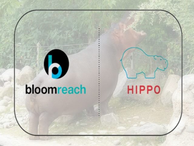 BloomReach - Hippo