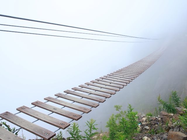 A hanging rope suspension bridge disappearing into the fog of a mountain gap with greenery and rock below and and cables visible above. 