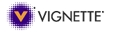 vignette,personalization,web experience platform
