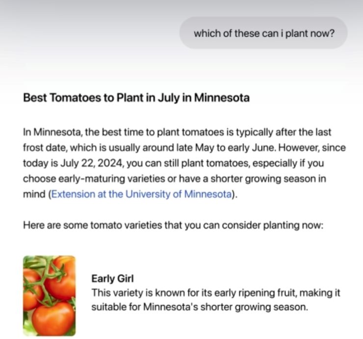 The image is a screenshot of a webpage titled "Best Tomatoes to Plant in July in Minnesota." The text explains that while the best time to plant tomatoes in Minnesota is usually after the last frost date in late May to early June, planting is still possible as of the current date, July 22, 2024. It suggests choosing early-maturing varieties due to Minnesota's shorter growing season and mentions the "Extension at the University of Minnesota" as a resource. Below this, there's a section highlighting a specific tomato variety called "Early Girl," noted for its early ripening fruit, making it ideal for Minnesota's climate. This kind of detailed, context-aware information is something that OpenAI's SearchGPT could potentially provide, enhancing user search experiences with tailored gardening advice.