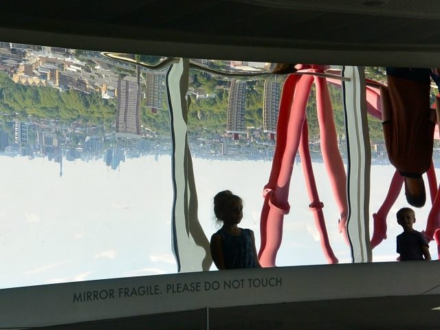 upside down mirror