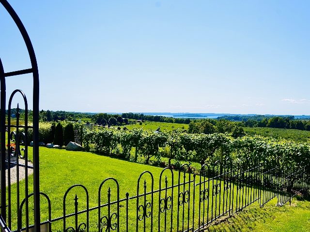 Overlooking view of vineyard, farmland and lake from a winery in Old Mission Peninsula, Michigan.