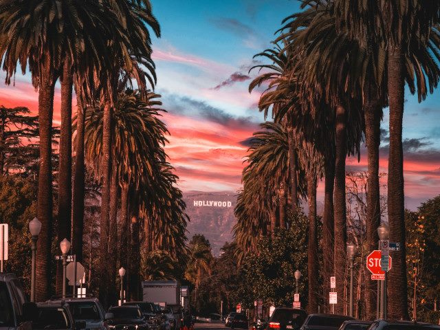 A palm tree-lined street in Los Angeles with the Hollywood sign in the background.